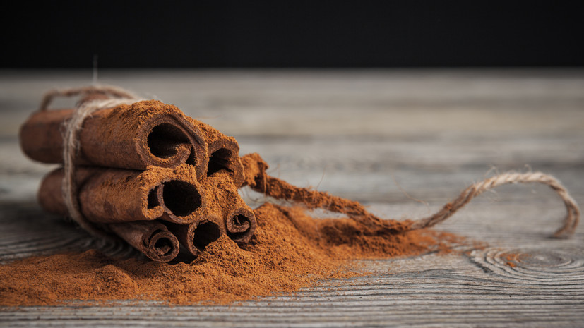 Врач Радина посоветовала заменить в авто ароматические ёлочки на палочку корицы