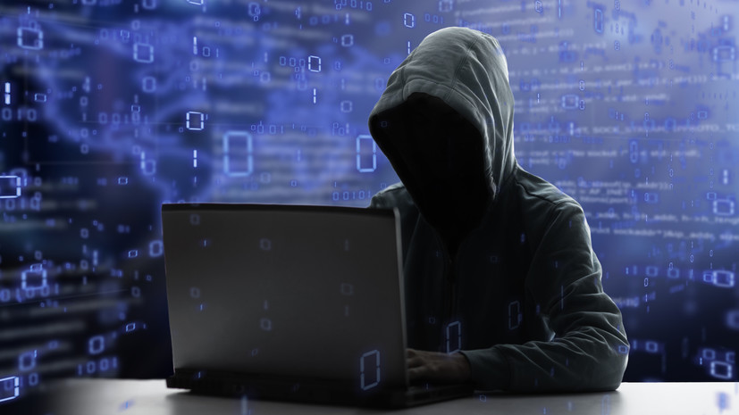 Юрист Браун: мошенники собирают данные россиян на фишинговых билетных сайтах