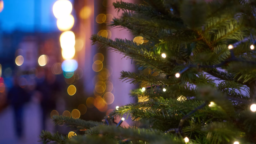 Большинство россиян хотели бы видеть украшенные к Новому году подъезды