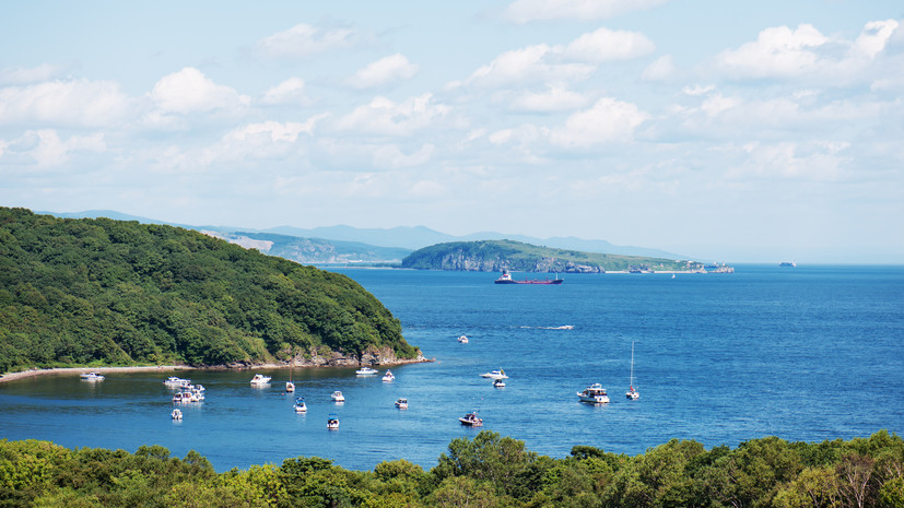 Учёные обнаружили тропическую микроводоросль в заливе Петра Великого