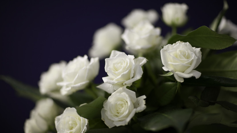 Разин грозит стримингам иском на $300 млн за отказ удалить песни Шатунова