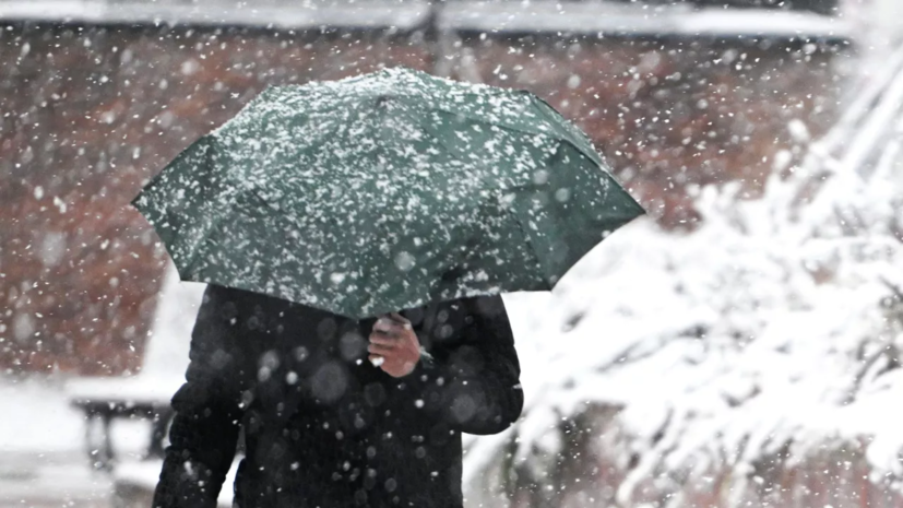 Синоптик Леус спрогнозировал мокрый снег и дождь в Москве