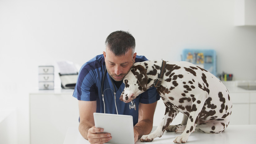 Ветеринар Шеляков дал советы по выбору профессионального ветврача