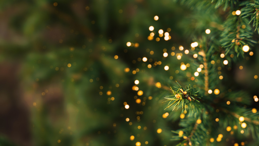 Нилов предложил навсегда сделать 31 декабря нерабочим днём