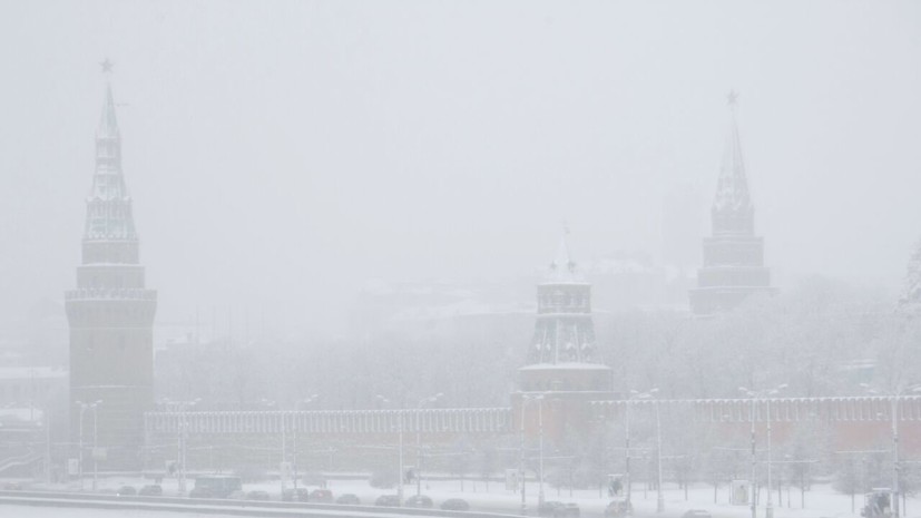Вильфанд: снега в Москве точно не будет как минимум до середины декабря