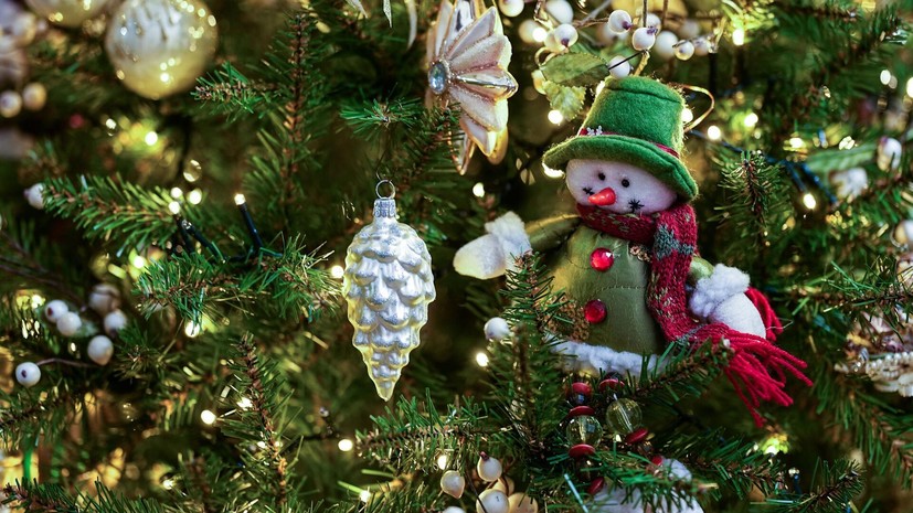 В Госдуме предупредили о штрафах за украшение подъезда к Новому году