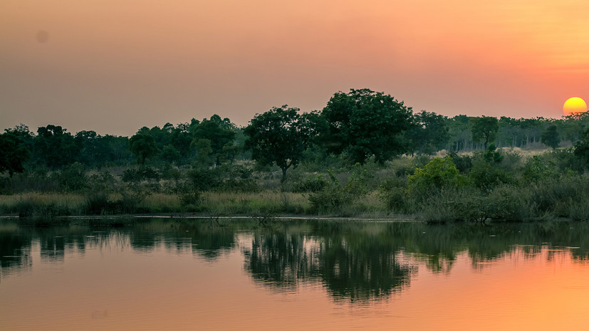 Посольство России в Бенине рекомендовало россиянам оставаться в своих домах