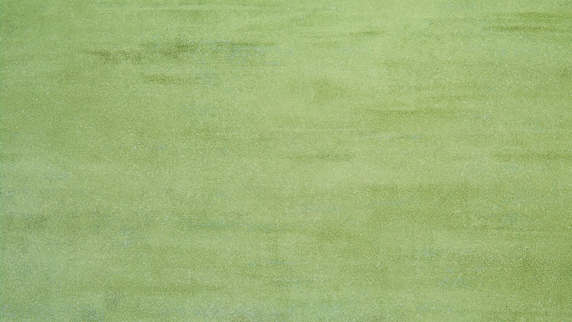 Стилист Лисовец: фисташковый цвет ушёл в прошлое