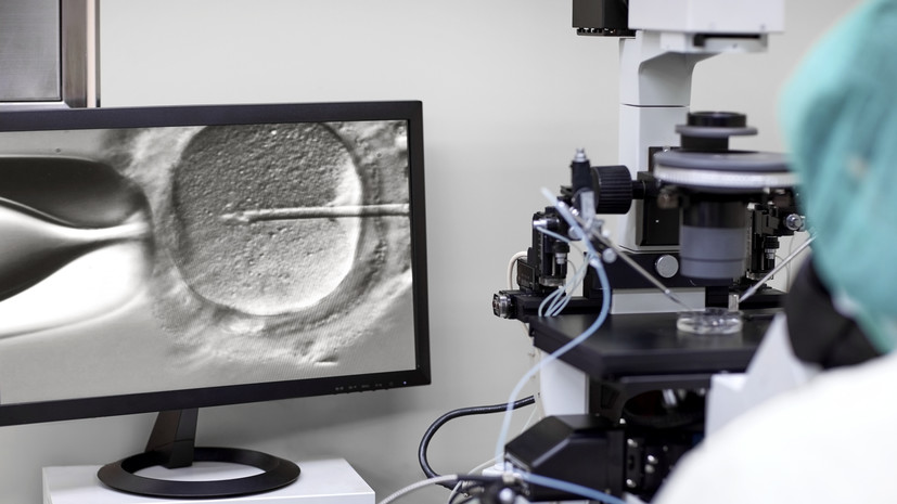 Мурашко: в России удалось победить очередь на ЭКО