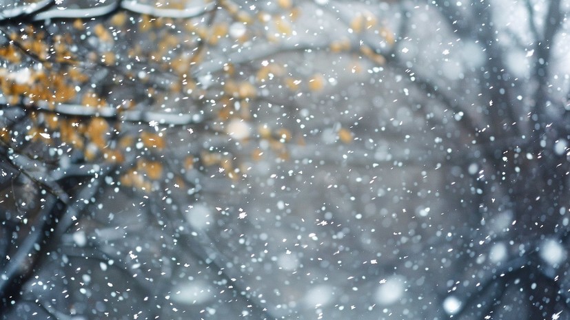 Штормовое предупреждение из-за снега объявили в Челябинской области 8—9 декабря