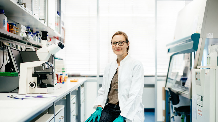 В Минпросвещения назвали самые востребованные профессии в колледжах России