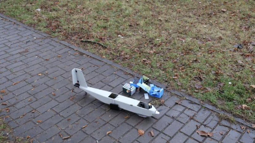 В Белоруссии установили оператора залетевшего из Литвы БПЛА