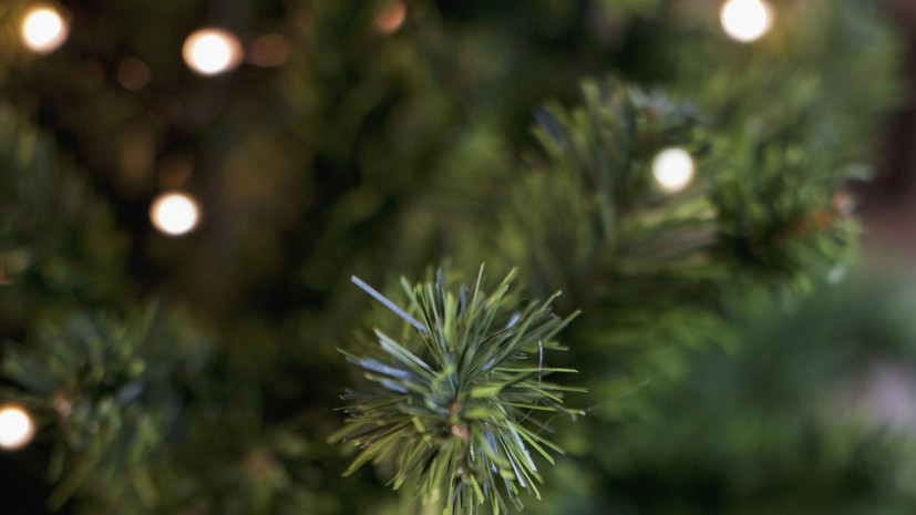 В кремлёвском кабинете Путина появилась новогодняя ёлка