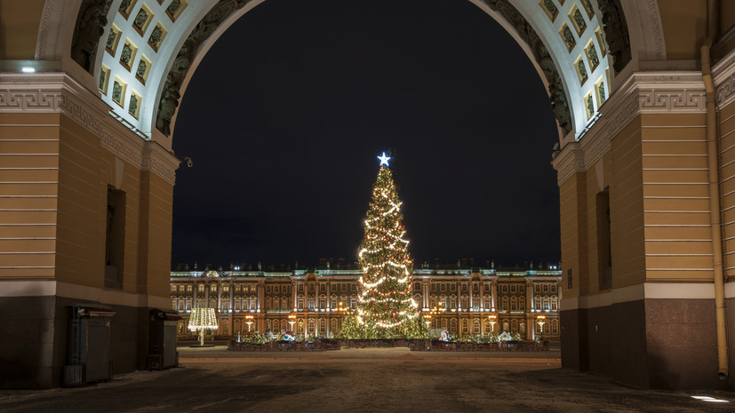 Главную ёлку Петербурга установили на Дворцовой площади