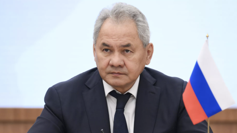 Шойгу: «цветные революции» происходят после появления финансируемых Западом НПО