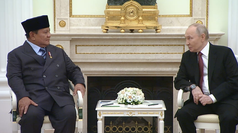 &laquo;Есть определённые и серьёзные планы развития наших отношений&raquo;: Путин &mdash; о сотрудничестве России и Индонезии