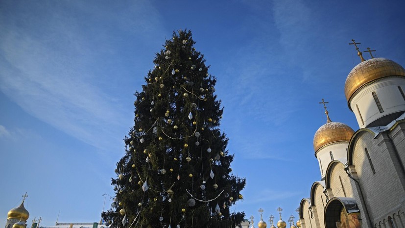 Главную новогоднюю ёлку страны привезли в Кремль