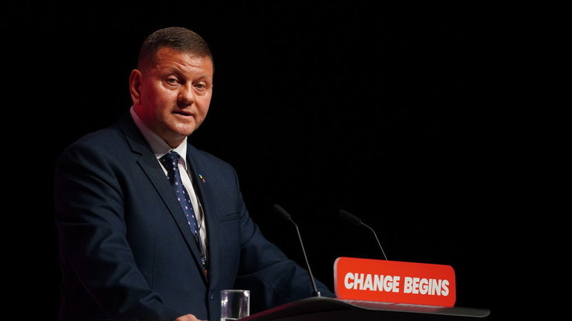 Меркурис: ЕС хочет навязать украинцам Залужного вместо Зеленского