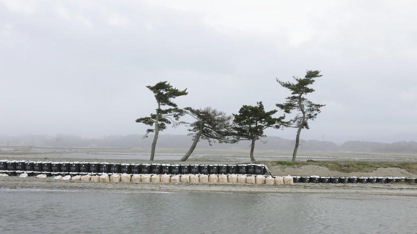 После землетрясения в Японии объявлено предупреждение об угрозе цунами
