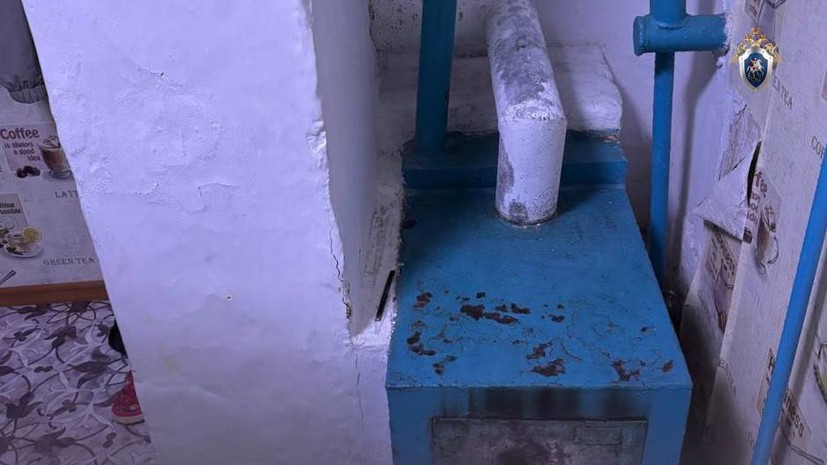 Женщина и ребёнок погибли от отравления газом в Челябинской области