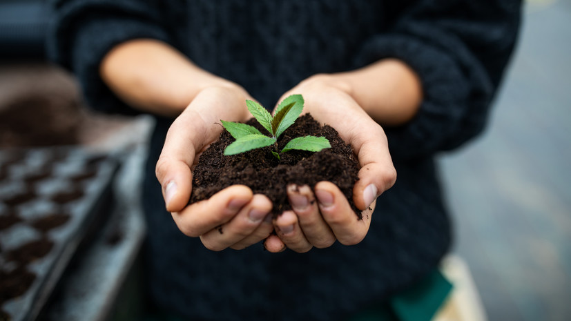 Агроном Воробьёв рассказал о влиянии мягкой зимы на растения