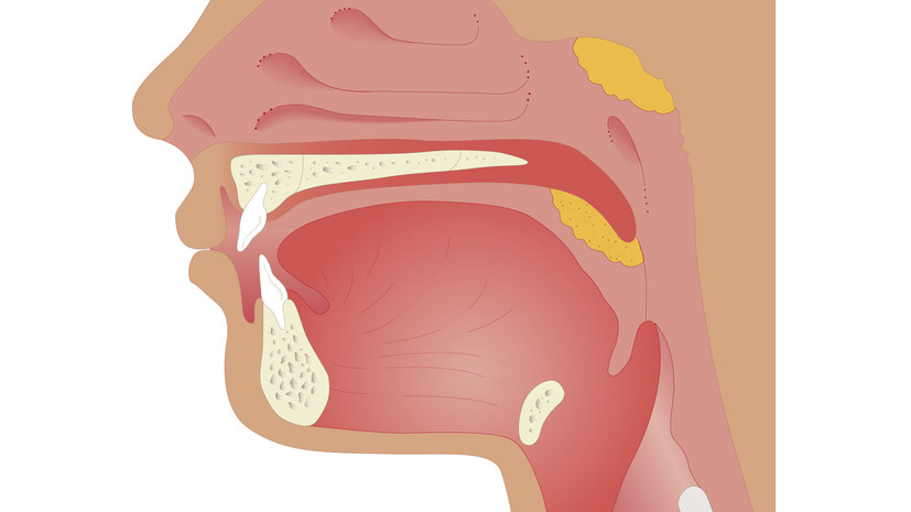 Врач Кутузова: зимой у детей чаще могут обостряться проблемы с аденоидами