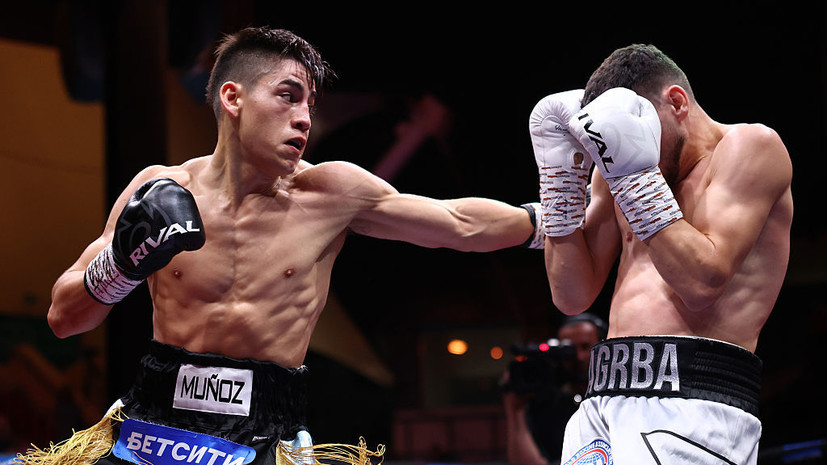 Агрба победил Муньоза и стал обязательным претендентом на пояс WBA