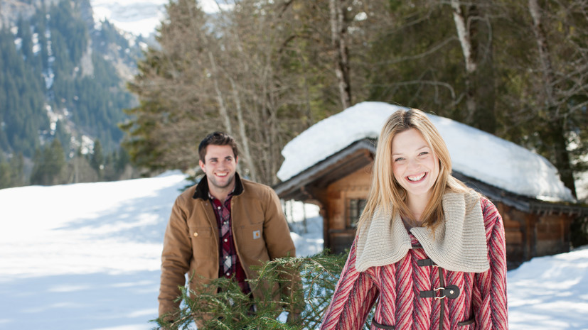 Юрист Хаминский предупредил о штрафе за сруб ёлки