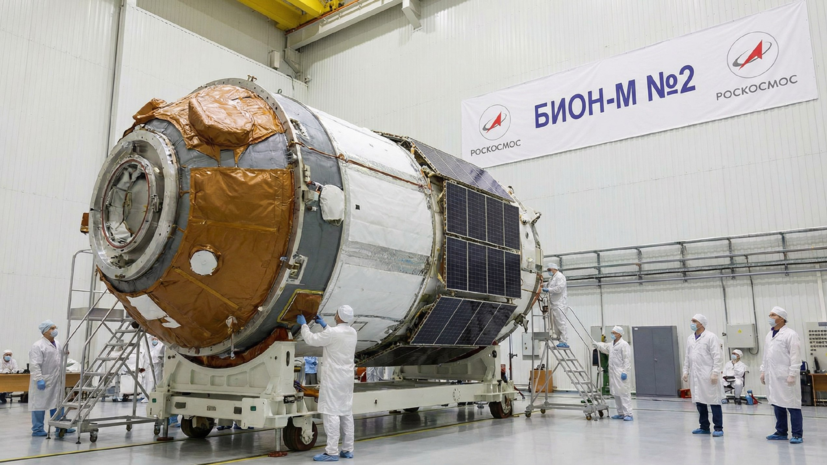 В «Роскосмосе» заявили об успехе полёта космического аппарата «Бион‑М» №2