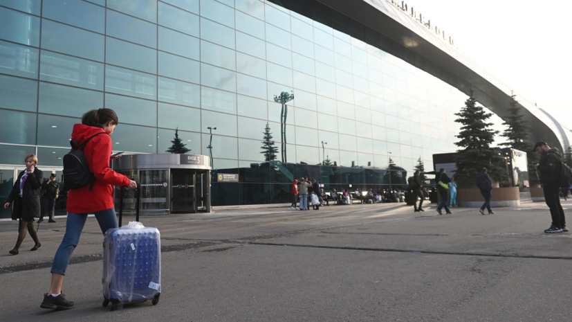 Аэропорты Домодедово и Жуковский возобновили работу