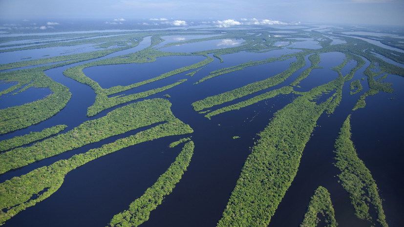 Бывший боец UFC пропал без вести во время купания в Амазонке