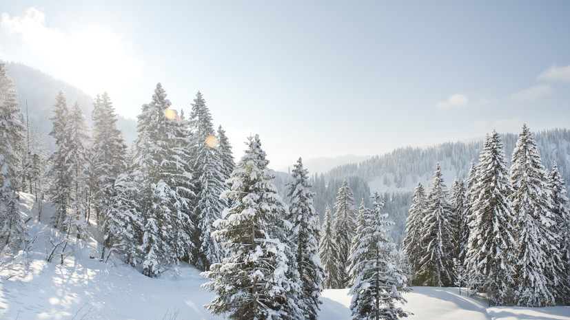 Спасатель пояснил опасность попадания под снегопад во время лесного похода