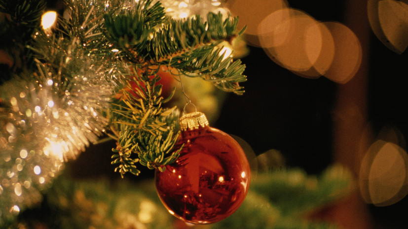 Россиянам рассказали, как украсить дом к праздникам и при этом защитить питомцев