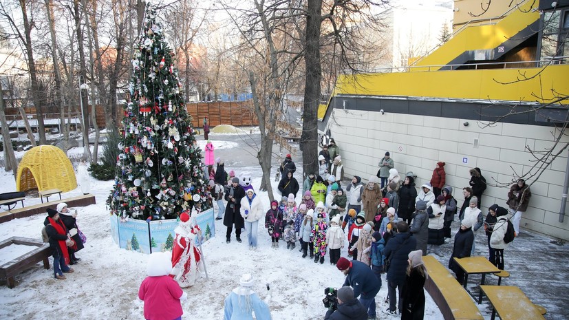 Всероссийскую экоёлку открыли в Московском зоопарке