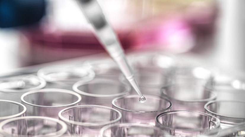 Врач Вахрушева назвала регионы, где чаще всего выявляют гонконгский грипп