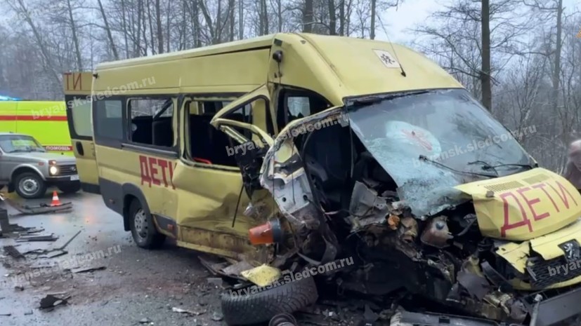 Дело возбудили после ДТП с микроавтобусом в Брянской области