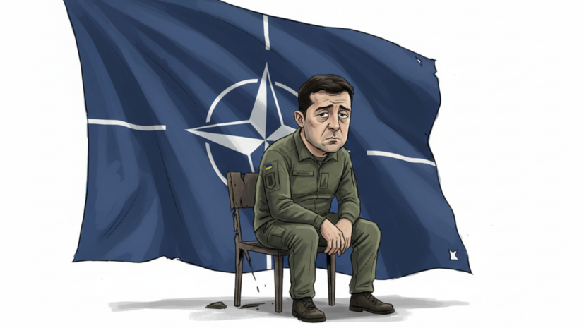 UnHerd: Зеленский признал реалии, отказавшись от членства Украины в НАТО
