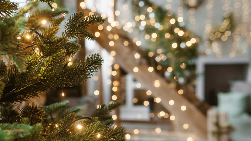 Врач рассказала, как безопасно украсить дом к новогодним праздникам при аллергии