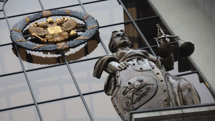 Гаврилов: Верховный суд пояснит, как должны решать споры, подобные делу Долиной