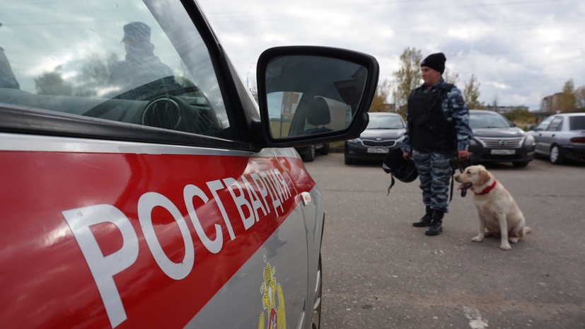 Росгвардия нашла в ЛНР тайник со шведским и немецким оружием