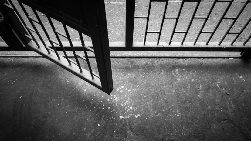 Юрист Багатурия: напавшему на школу в Одинцово подростку грозит максимум 10 лет