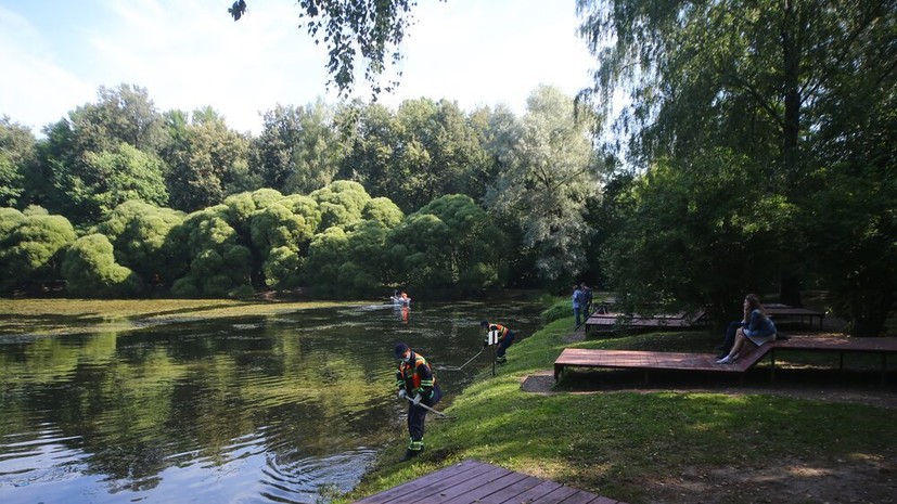 В Подмосковье расчистят почти 40 водоёмов в 2026 году