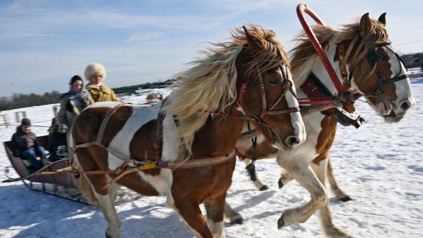 «Запах морозного воздуха, скрип снега и ощущение полёта»: реставратор — об истории саней в России