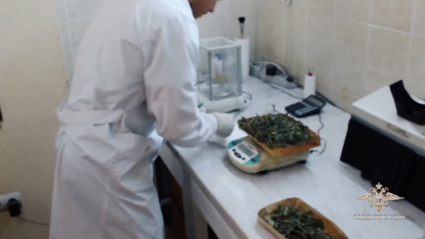 МВД: у жителя Приморья изъяли более 160 кг наркотиков