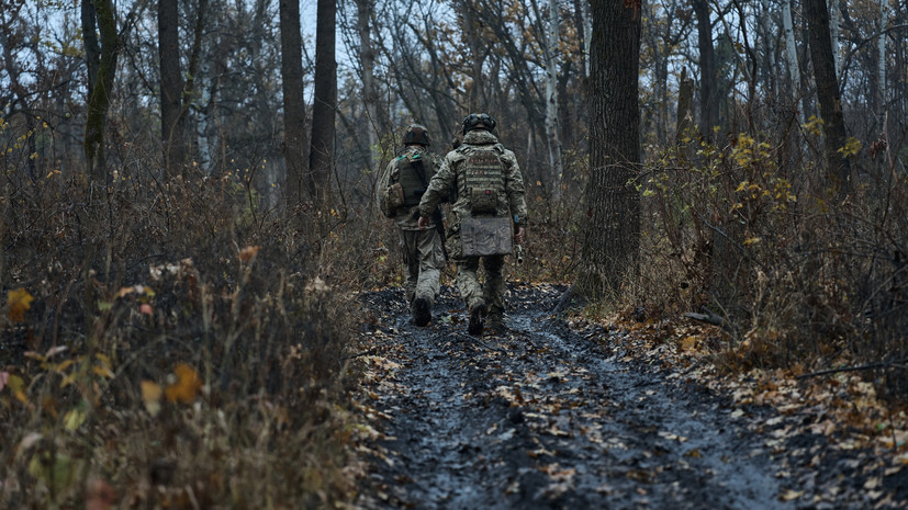 ВСУ из-за лени и страха отказываются оборудовать позиции под Красным Лиманом