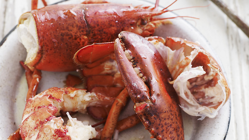 Guardian: Британия запретила варку лобстеров живыми в кипятке