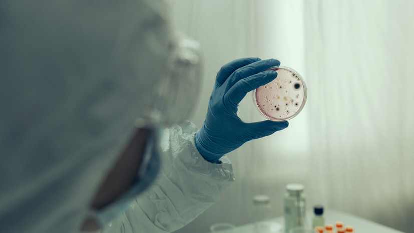 Роспотребнадзор: в России нет распространения завозных случаев холеры и малярии