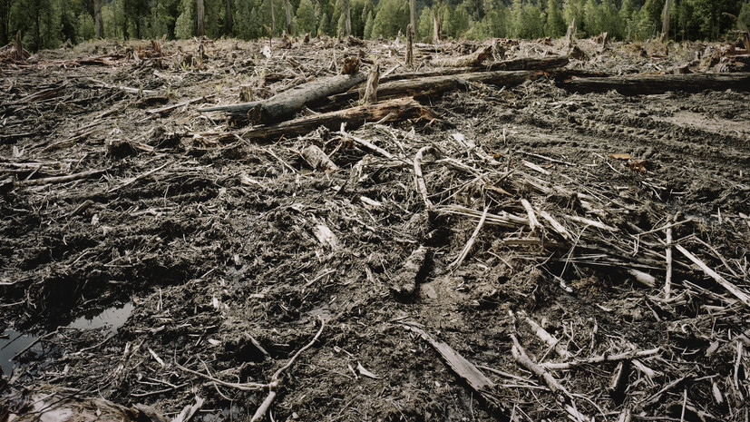 В Госсовете предложили бороться с деградацией почв в рамках нацпроекта