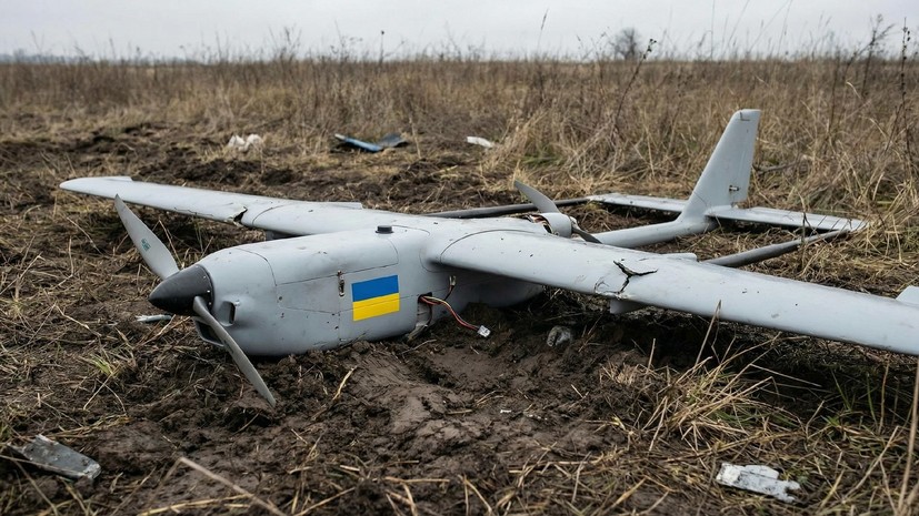 ERR: упавший в августе на территории Эстонии дрон был украинским