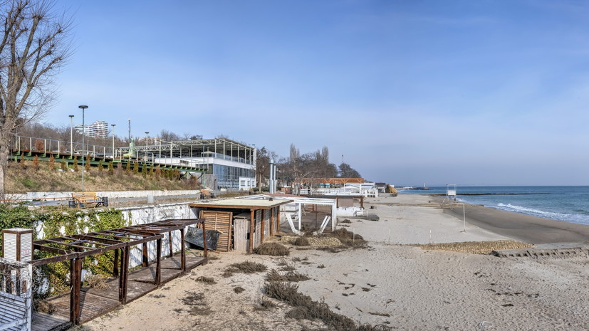 У берегов Одессы обнаружили мёртвых птиц и похожие на нефть пятна